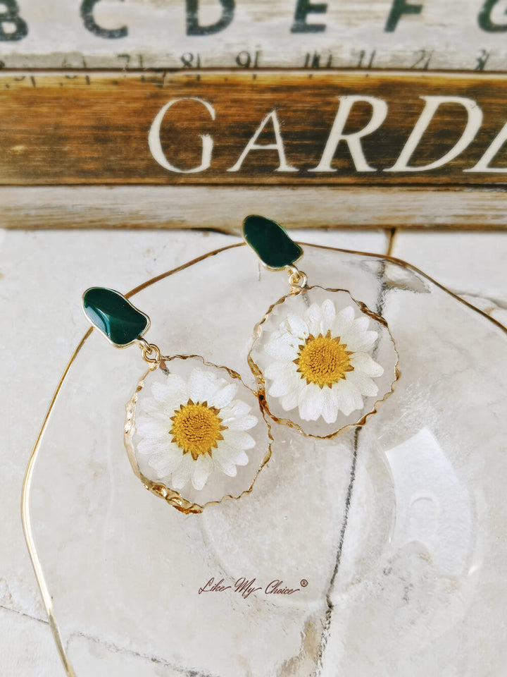 Gold edged daisy earrings
